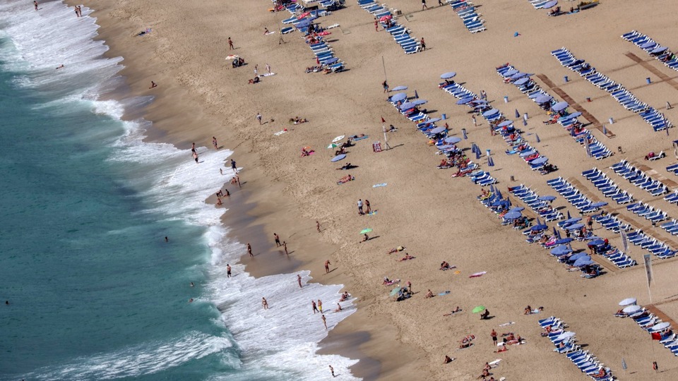 '54 sektörü etkiler'