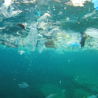 ‘7. Kıta’da ‘plastik’ sanatlar!