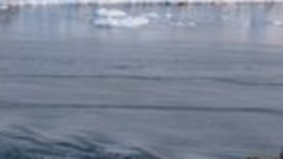 Uzmanlara göre iklim değişikliği 'hızlanıyor'