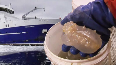 Buz tabakasının 3 bin 500 metre altında keşfedildi!