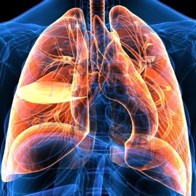 Sigara içenler dikkat! Yüksek oranda tükettiğiniz o besin takviyeleri akciğer kanseri riskini…