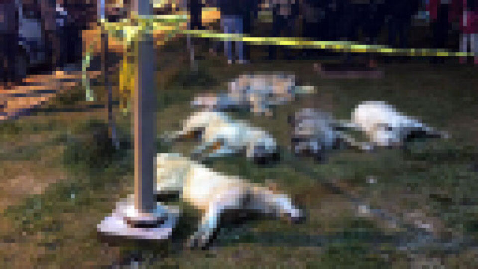 Ankara'daki vahşetle ilgili yeni gelişme