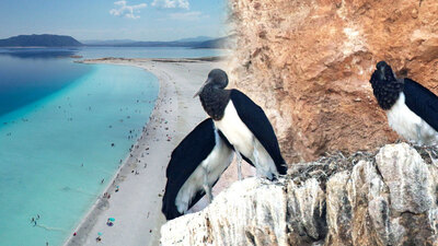 Salda Gölü'nde şaşırtan görüntü!