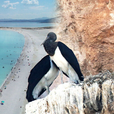 Salda Gölü'nde şaşırtan görüntü!