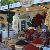 Bir dünya mutfağı: Antep