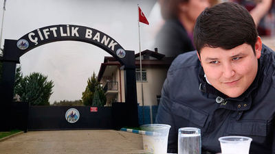 Tosuncuğun adresi tartışma konusu oldu!