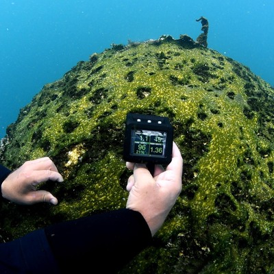 Van Gölü'nde keşfedildi... Dünyanın en büyüğü!