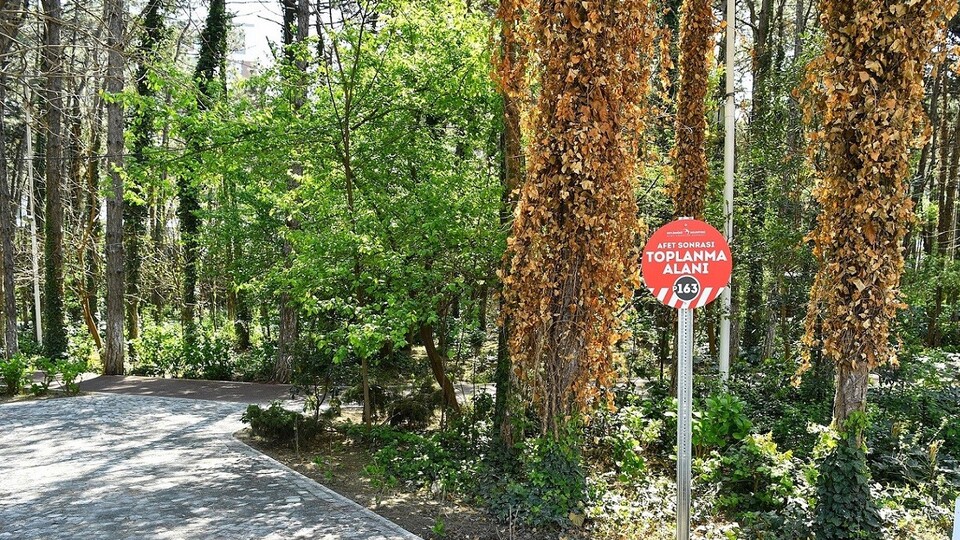 Deprem sonrasında nerede toplanacağız?