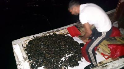 Vatandaşın sağlığını hiçe saydılar! Kilolarca topladılar