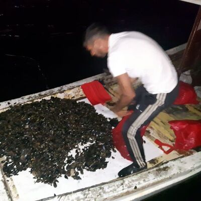 Vatandaşın sağlığını hiçe saydılar! Kilolarca topladılar