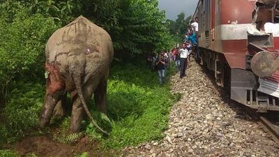 Hindistan´da tren file çarptı