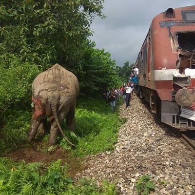 Hindistan´da tren file çarptı