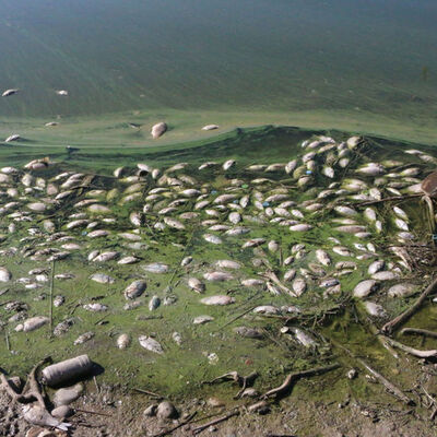 Balık tutmaya gidenler felaketle karşılaştı