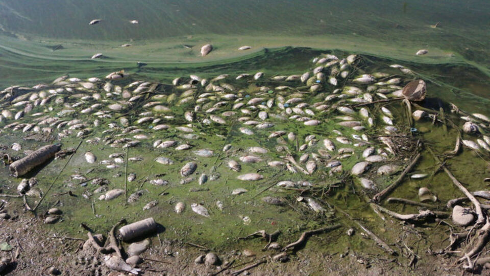 Balık tutmaya gidenler felaketle karşılaştı