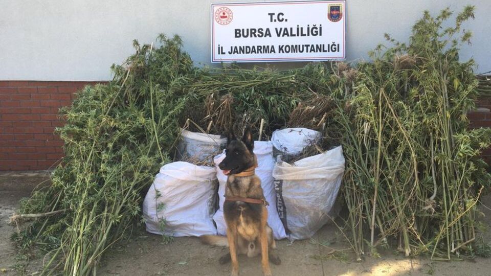 Bursa'da uyuşturucu operasyonu