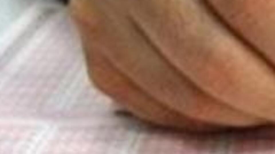 ALES sonuçları ne zaman açıklanacak 2019