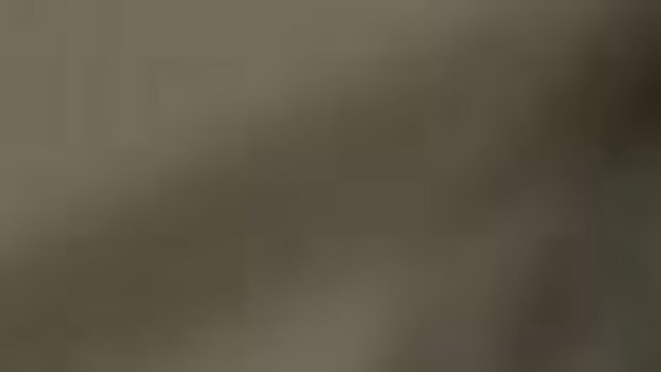 İmran Han: Faşist Modi'nin maskesini düşürmeye devam edeceğiz