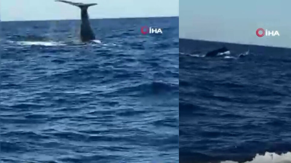 Heyecan yaratan görüntüye açıklama geldi