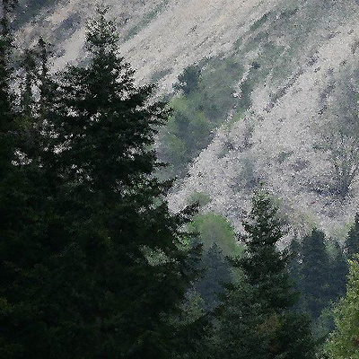 Kestane toplayacaklardı, uçuruma düştüler