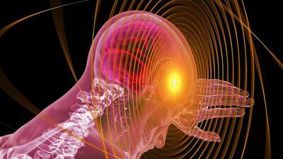 İşte hafızaya iyi gelen yiyecekler!