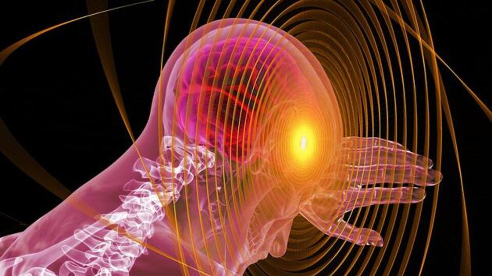 İşte hafızaya iyi gelen yiyecekler!