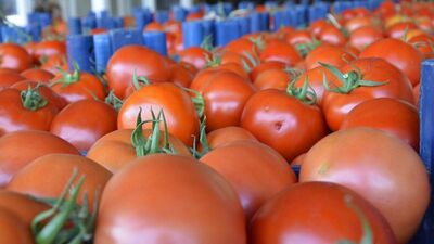 Domatesin faydaları nelerdir?