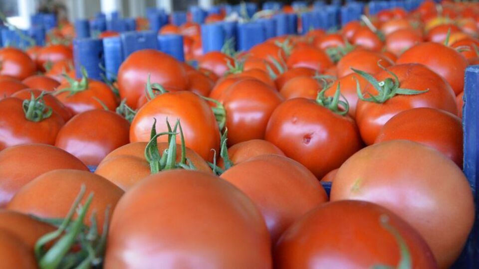 Domatesin faydaları nelerdir?