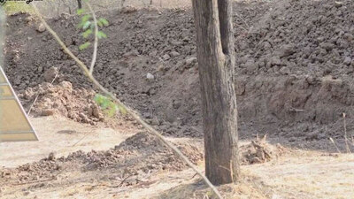 İnternet fotoğraftaki leoparı arıyor!