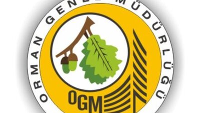 OGM sonuçları açıklandı 2019