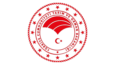 OGM sonuçları açıklandı!