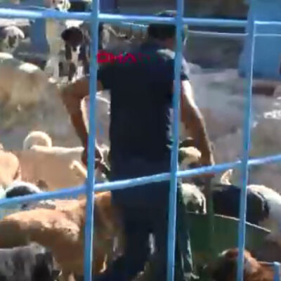 Bunu yapana 10 bin TL para cezası verilmesi planlanıyor!