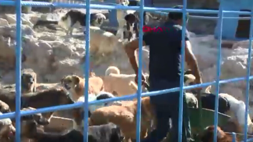 Bunu yapana 10 bin TL para cezası verilmesi planlanıyor!