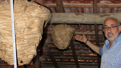 Sadece bir ayda böyle oldu