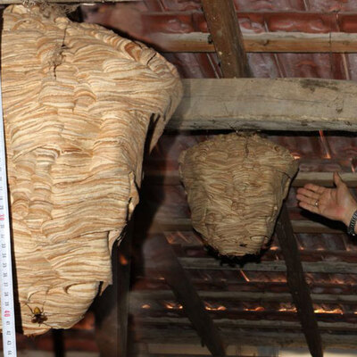 Sadece bir ayda böyle oldu