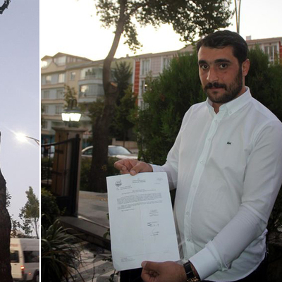 İş yerinin önündeki iki ağacı kesti! Verilen ceza parmak ısırttı!