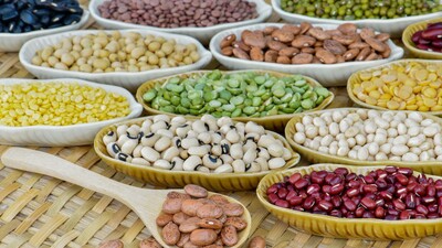 9 ayda 6,7 milyar dolarlık hububat ihracatı