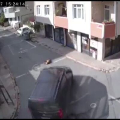 Köpeği ezdi, arkasına bile bakmadı!