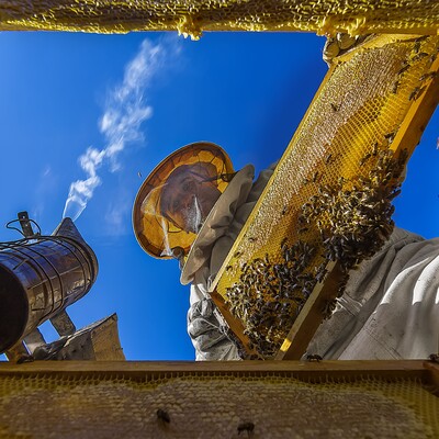 Anadolu'nun kalbinden Sarı Kareler