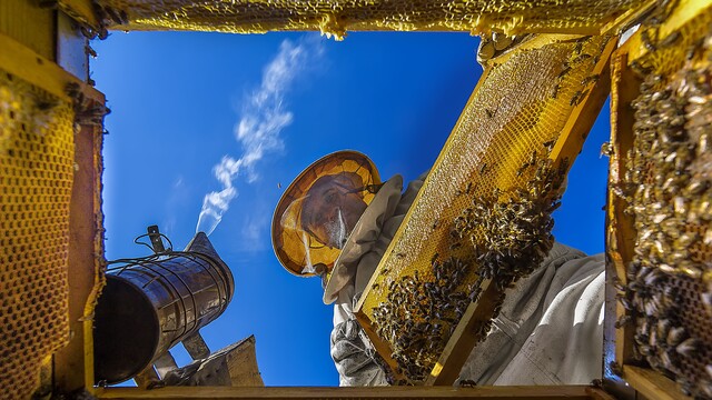 Anadolu'nun kalbinden Sarı Kareler