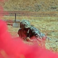 5 soruda "Yalnız Kurt" operasyonu