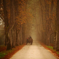 En ekonomik sonbahar rotaları
