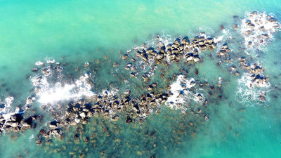 O bölgede yaşayanların gözü kulağı Meteoroloji'de olsun!
