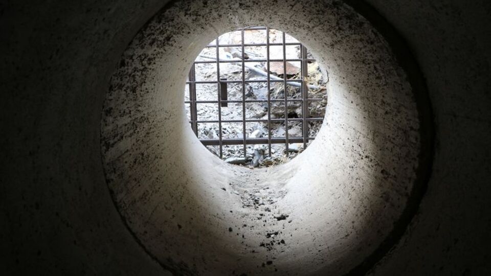 O bölgede harekete geçildi!