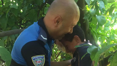 Limon ağacından okul sırasına