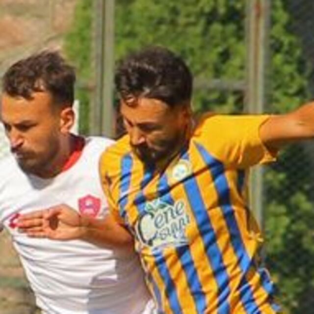 TFF 3. Lig'de görünüm