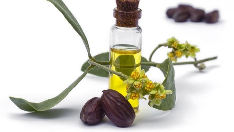 Jojoba yağı nedir, faydaları nelerdir?