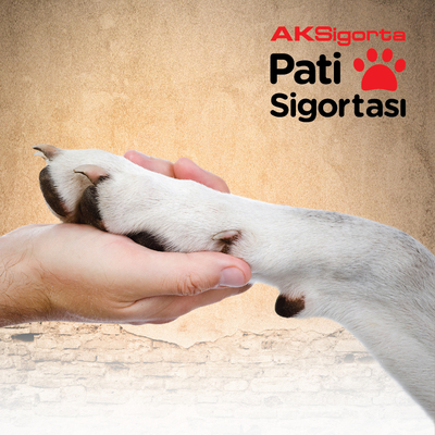 Ak Sigorta'dan Pati kardeşliği