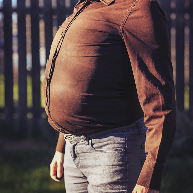 Obeziteye 'kalkan' oluyor!