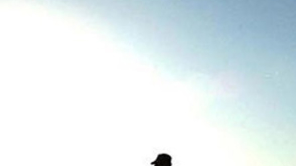 Van'da 8 terörist etkisiz hale getirildi