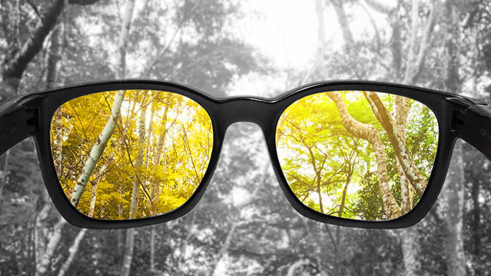 Renk körlüğü olanlara üniversite uyarısı!